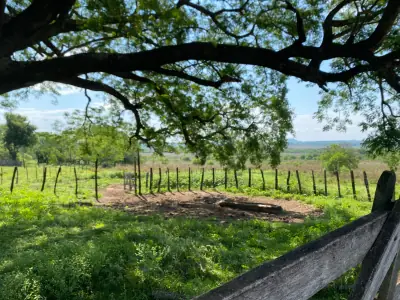 Terreno de 190.000m² en Venta en General Bernardino Caballero