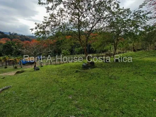 MLS-26-1444 Land of 644,346m² for Sale in Murcia, Turrialba - Image 6