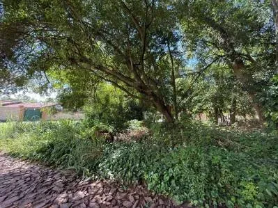 Terreno de 600m² en Venta en Santo Domingo, Areguá