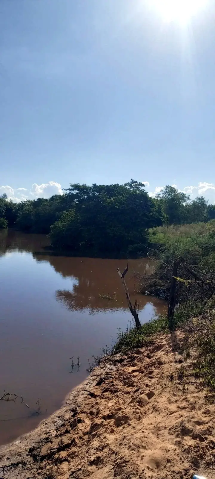 20 hectares em Arroyos y Esteros com estrada asfaltada e frente para o rio Piribebuy - Image 7