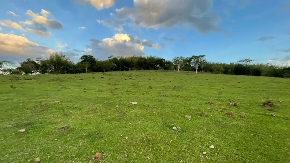 43 Hectares Farm for Sale in Paraguay with Natural Spring and Creek - Image 14
