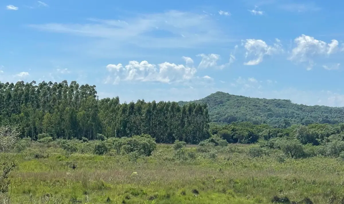 VENDO 9 HECTAREAS EN ATYRA 🍃🌳  📍A 4 km del casco urbano - Image 10
