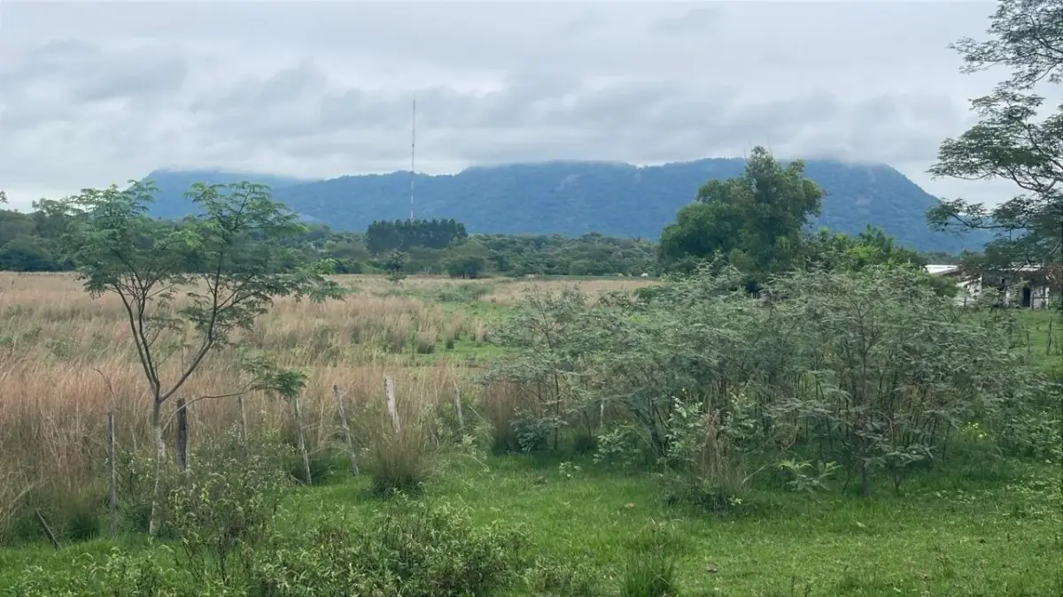 Inversión Agropecuaria en Paraguay: 90 Ha en Acahay con arroyo - Image 11