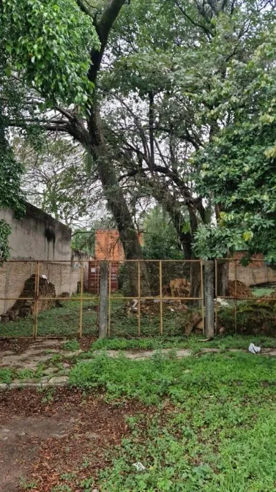 Terreno de 458m² à Venda em San Jorge, Assunção