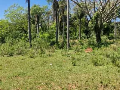 364m² Lot for Sale in Daniel Escurra Neighborhood, Caacupé