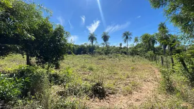 10-Hectare 24.7-acre flat terrain Farm in San José de los Arroyos