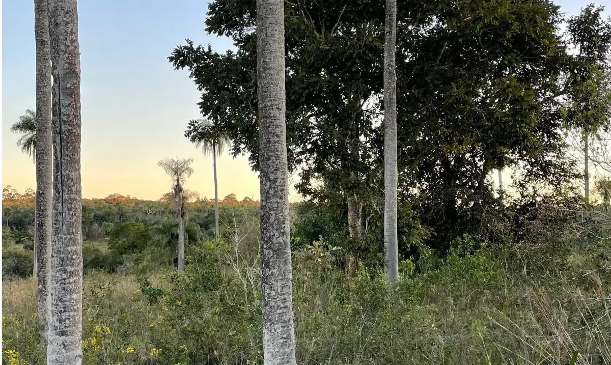 Propiedad de 7 hectáreas en Atyra 🍃🌳☀️ con cascada - Image 10