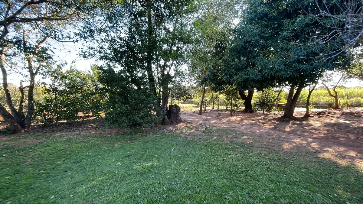 Casa y 5 ha con arroyo en San José de los Arroyos | 12-acre homestead - Image 15
