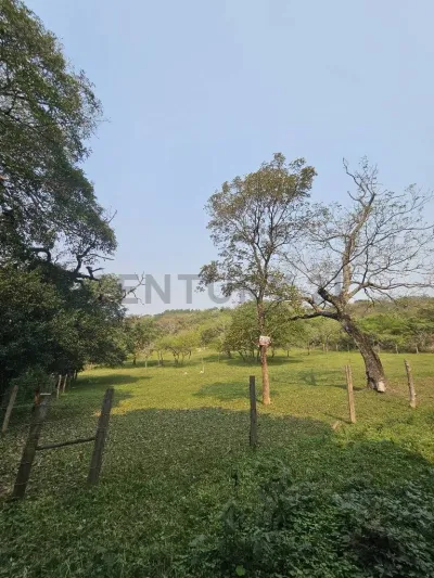 Terreno de 2,880m² en Venta en Corazón de Jesús, San Bernardino