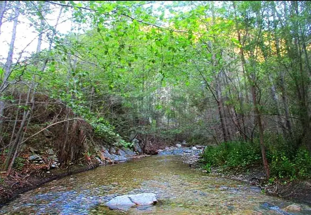 5.73m² Land for Sale in Ciudad de Arroyo Pora-Sub Urbano - Image 15