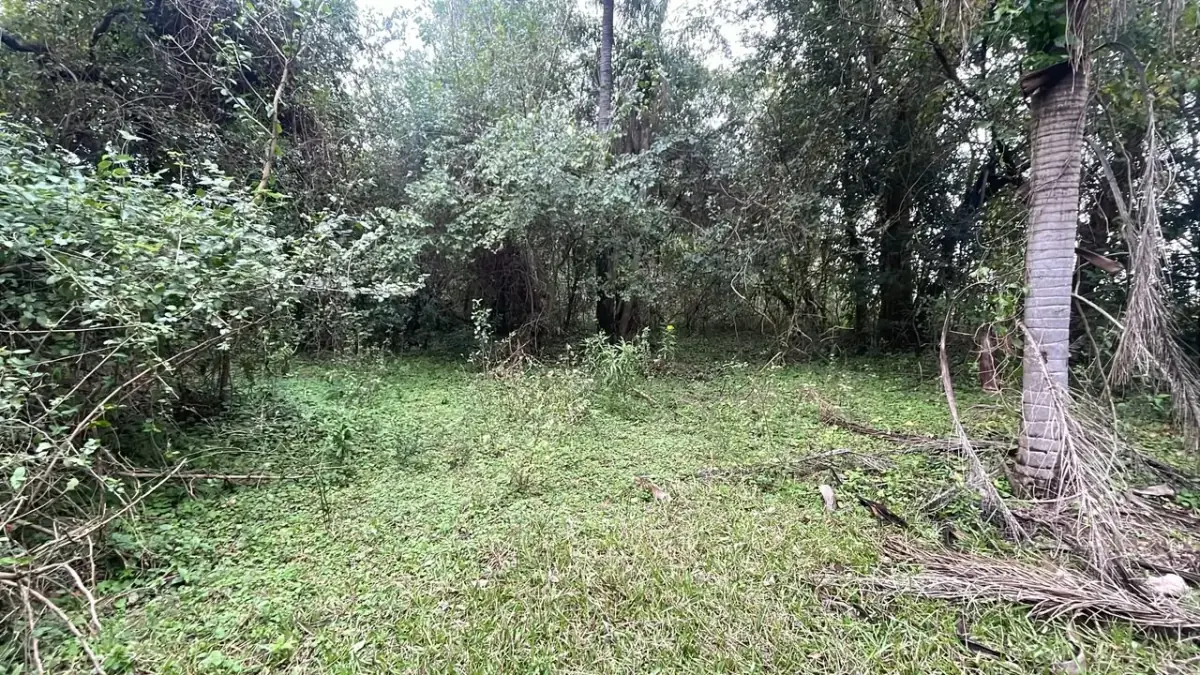 6.5-Hectare 16-acre Farm / Land for Sale in Ybycuí - Image 2