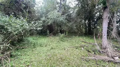 6.5-Hectare 16-acre Farm / Land for Sale in Ybycuí