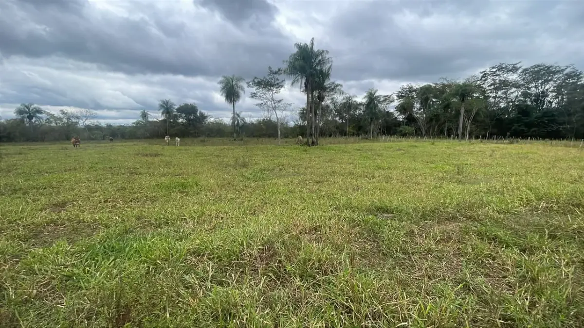 6.5-Hectare 16-acre Farm / Land for Sale in Ybycuí - Image 12