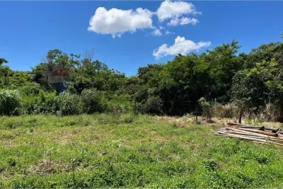 Terreno de 7.000m² à Venda em Coronel Oviedo