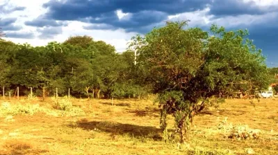 Terreno de 2,834m² en Venta en Arecayá, Mariano Roque Alonso