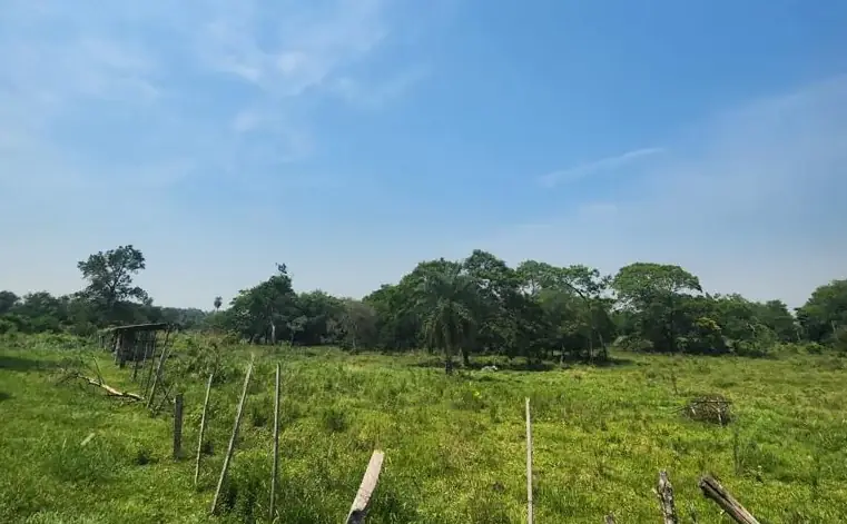 Vendo 5,5 hectareas en Caraguatay Fulgencio Yegros A 1000m del asfalto - Image 7