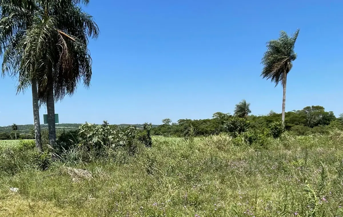 Vendo propiedad de 5,25 hectáreas en Arroyos y Esteros - Image 7