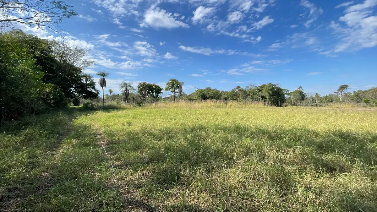 3-Hectare 7.4-acre Farm with Pasture & Forest in Caraguatay - Image 4