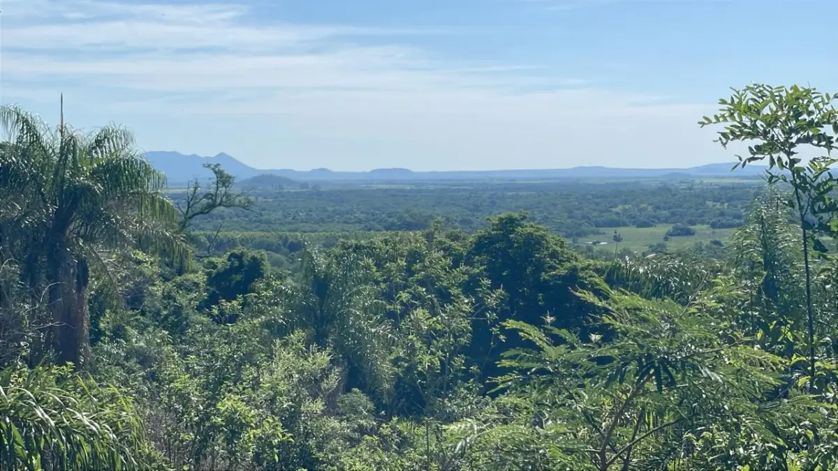 Campo de 8,9 ha en Caballero | 22-acre farm 2 hours from Asunción - Image 4