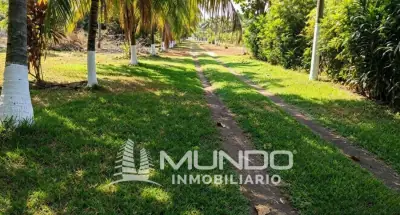 Terreno de 1.404m² en Venta en Escuintla