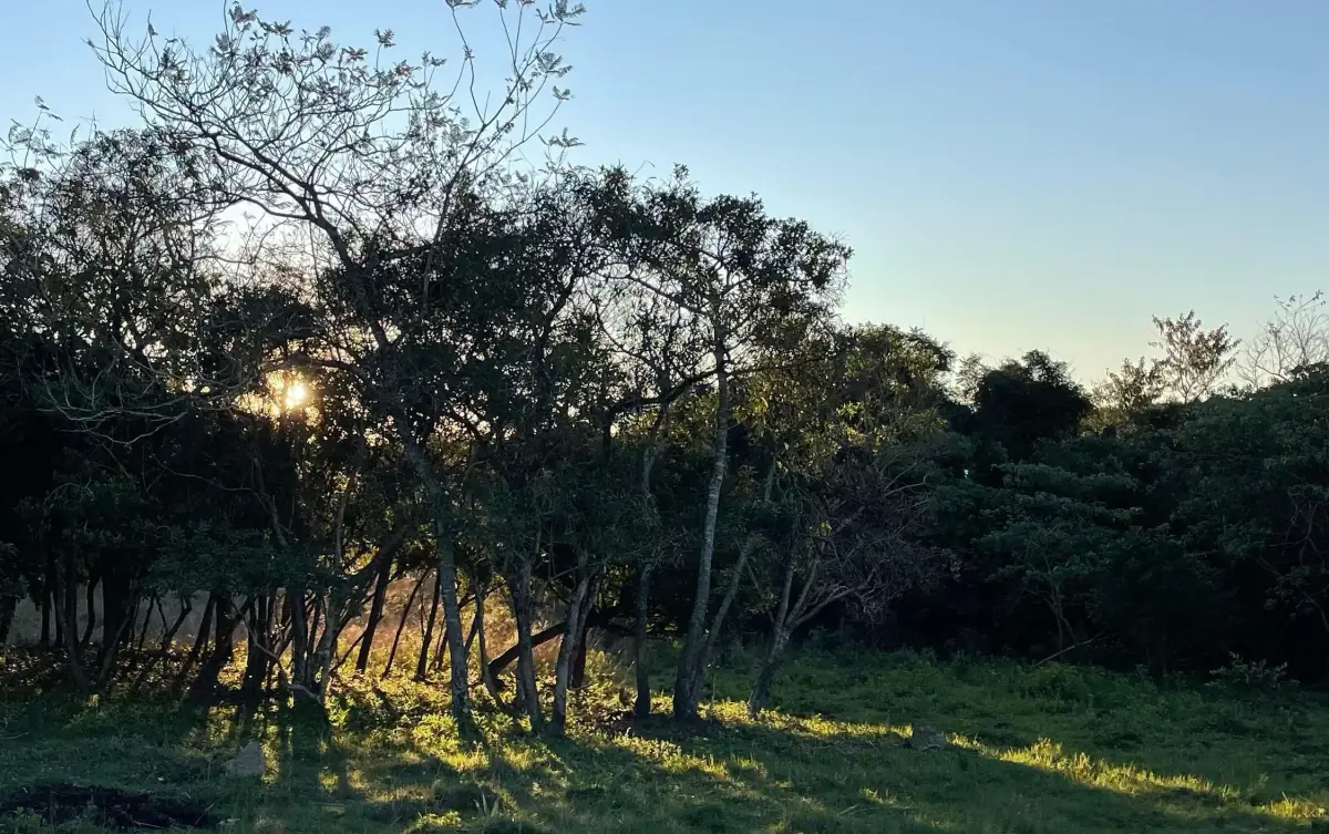 Propiedad de 7 hectáreas en Atyra 🍃🌳☀️ con cascada - Image 11