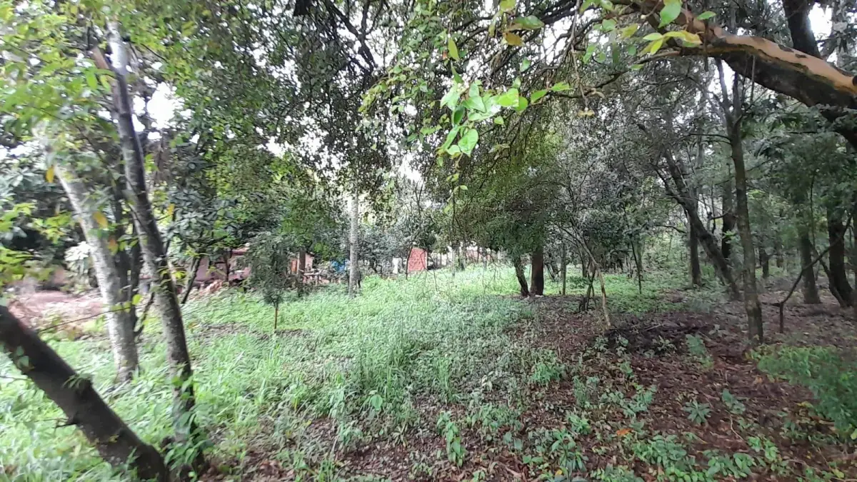 1m² Lot for Sale in Corazón de Jesús, San Bernardino - Image 4