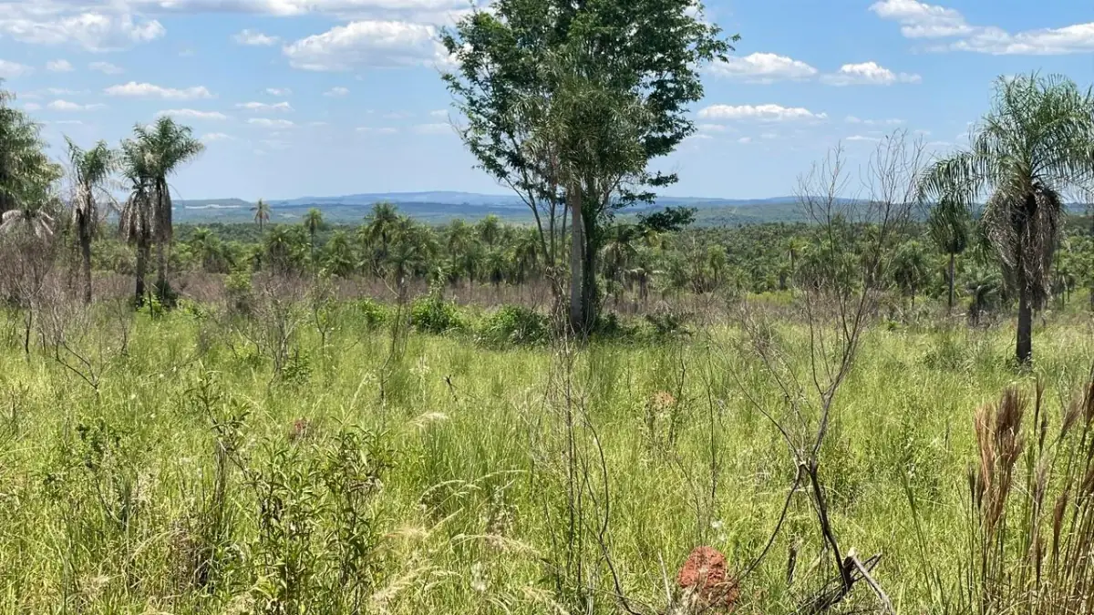 50-Hectare/123.5 Acres Piribebuy Livestock & Intensive Feedlot Farm - Image 13