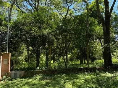 643m² Lot for Sale in San Bernardino