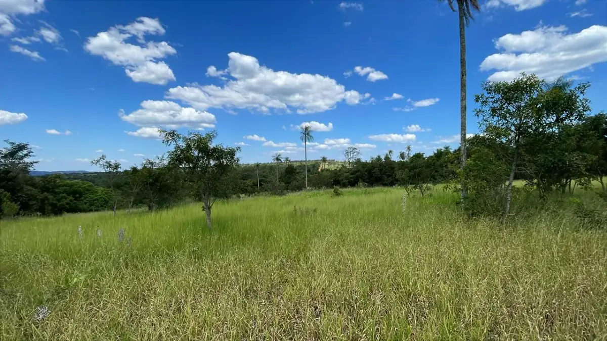 Campo 10 ha con vistas en Piribebuy | 25-acre land 1h45 from Asunción - Image 3