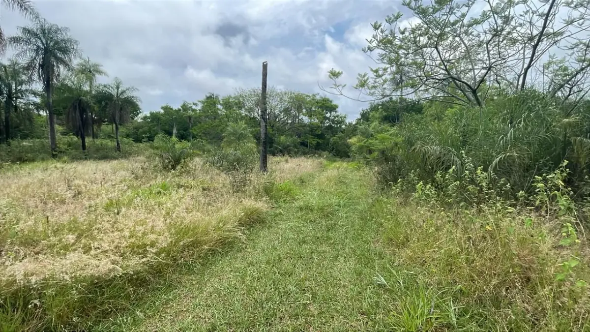 Vendo 14,6 hectáreas en Caacupé con vista al Cerro Kavaju - Image 8