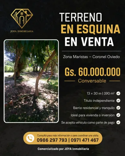 390m² Lot for Sale on Marista Street, Coronel Oviedo