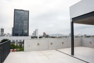 Asís Perse