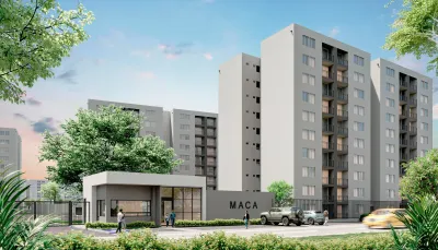 Maca