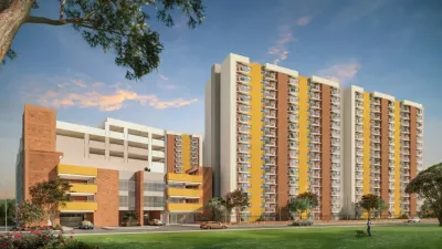 Azafrán Ciudad Tierrabuena