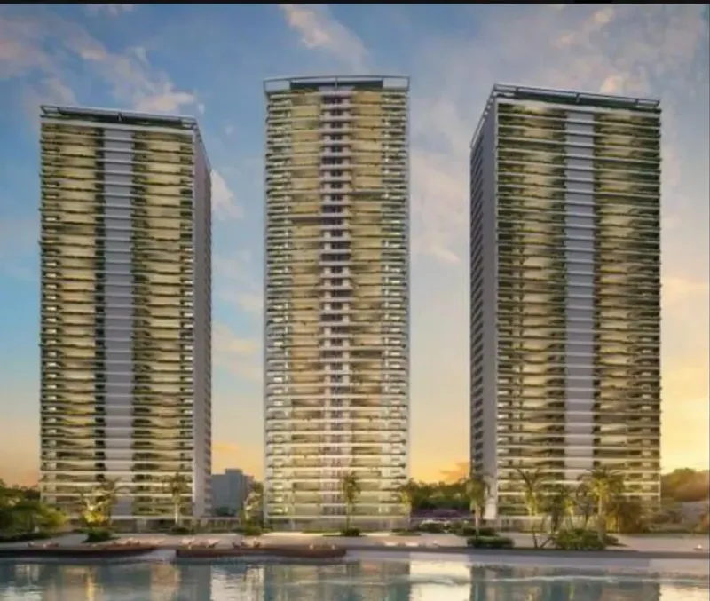 SÃO Paulo BAY