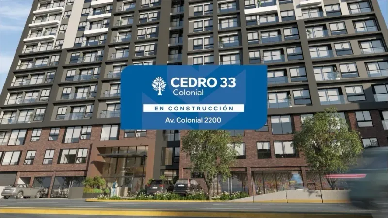Cedro 33