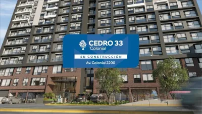 Cedro 33