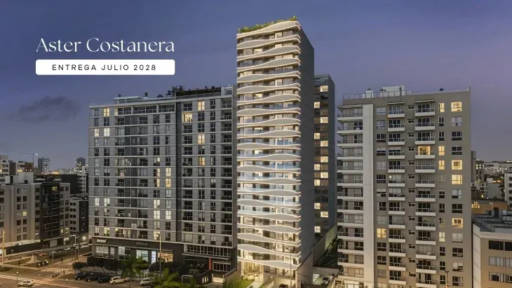 Aster Costanera